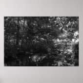 Kanaal, Bute Park, Cardiff Poster (Voorkant)