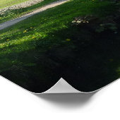 Kanaal - Bute Park, Cardiff Poster (Hoek)