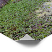 Kanaal in New Hope Pennsylvania Poster (Hoek)