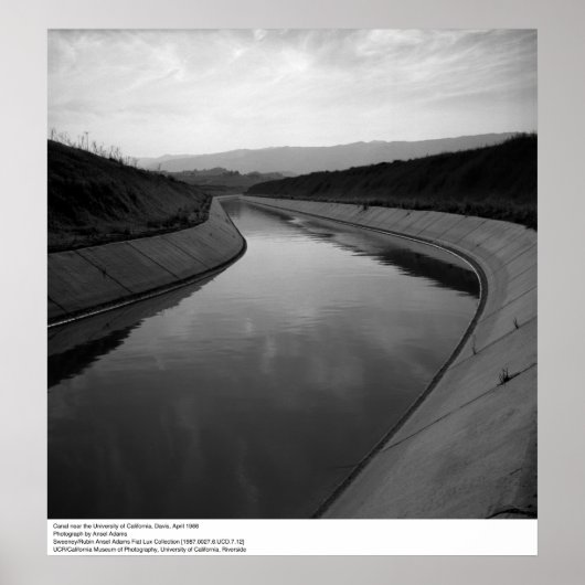 Kanaal nabij UC Davis, 1966 Poster (Voorkant)