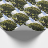 Kanaalboten Cadeaupapier (Hoek)