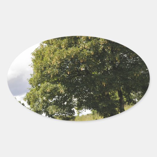 Kanaalboten Ovale Sticker (Voorkant)