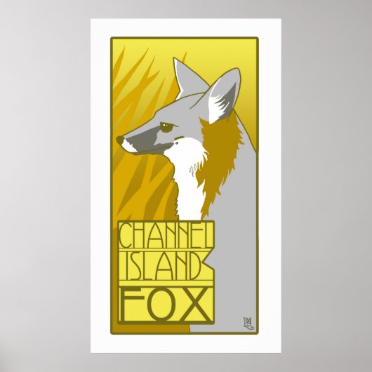 Kanaaleiland Fox Poster (Voorkant)