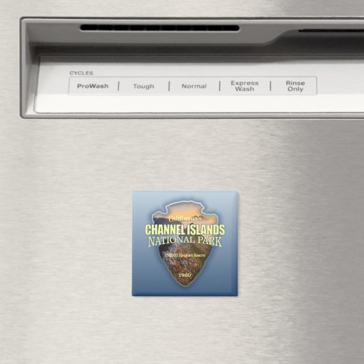 Kanaaleilanden NP (pijlpunt) Magneet (Insitu (Vaatwasser))