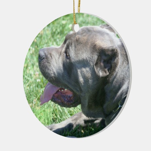 Kanaalhondenornament Keramisch Ornament (Links)