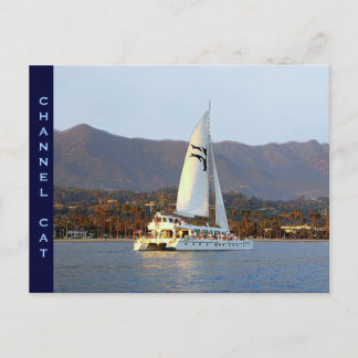 Kanaalkat op zonsondergang briefkaart