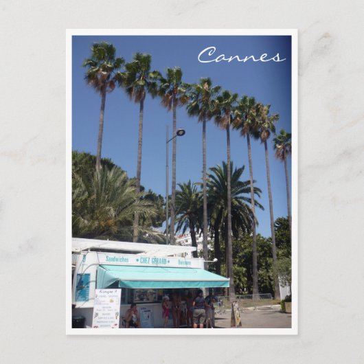 kanaalpalmsteun briefkaart (Voorkant)