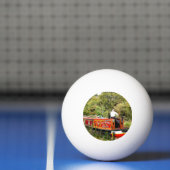 KANAALSMALVAARTUIGEN PINGPONGBAL (Net)
