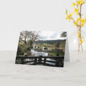 Kanaalthemakaart. Leeg voor je eigen bericht. Kaart (Gele Bloem)