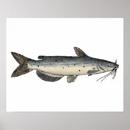 Kanaalvis (juveniel) poster