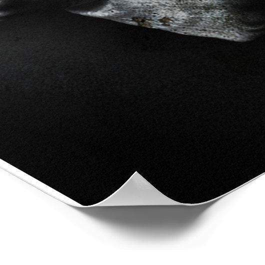 Kanaalwulk Poster (Hoek)