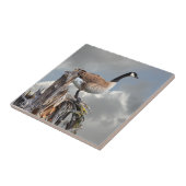 KANADA GAAT EEN SNAG AAN TEGELTJE (Zijkant)