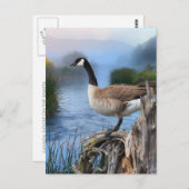 KANADA GAAT OP DE SHASTA BRIEFKAART (Voorkant / Achterkant)