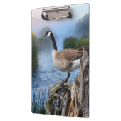 KANADA GAAT OP DE SHASTA KLEMBORD (Links)