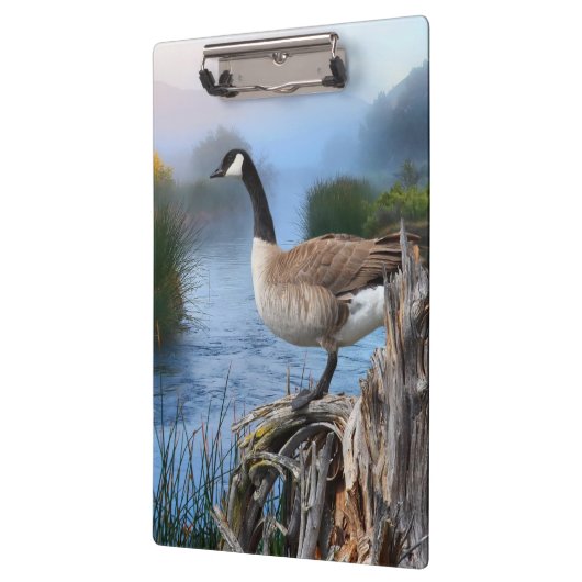 KANADA GAAT OP DE SHASTA KLEMBORD (Links)