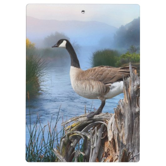 KANADA GAAT OP DE SHASTA KLEMBORD (Achterkant)