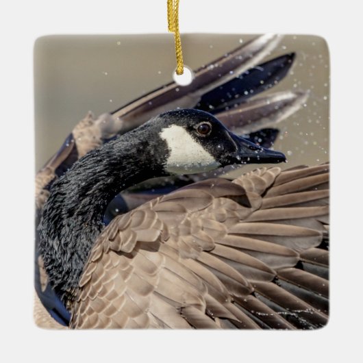 Kanadese gans keramisch ornament (Voorkant)