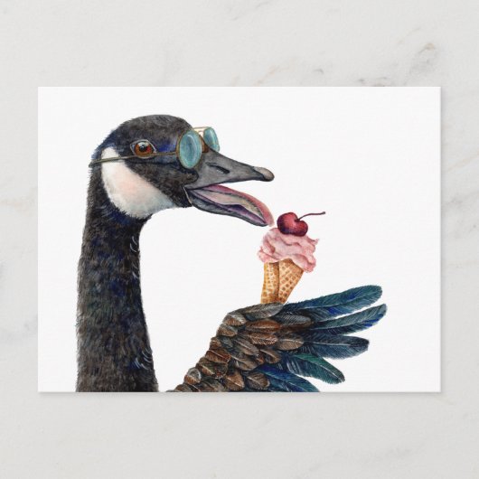 Kanadese Gans met Ijs Briefkaart (Voorkant)