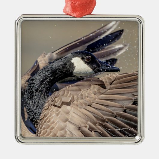 Kanadese gans metalen ornament (Voorkant)