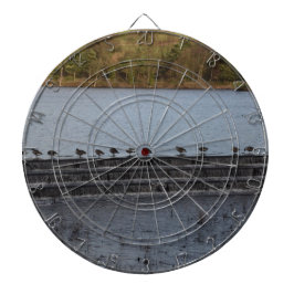 Kanadese Ganzen Allemaal Op Een Rij Dartbord