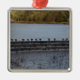 Kanadese Ganzen Allemaal Op Een Rij Metalen Ornament