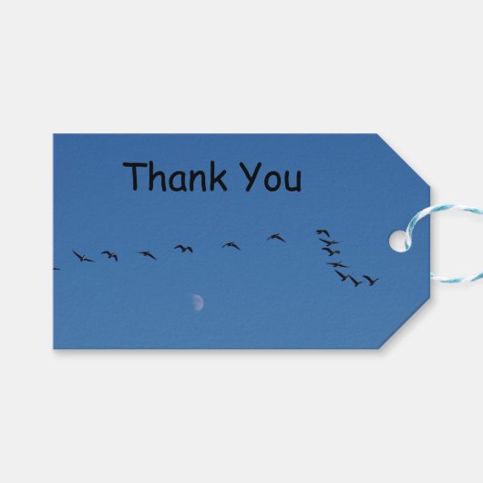 Kanadese ganzen in vlucht cadeaulabel (Voorkant (Horizontaal))