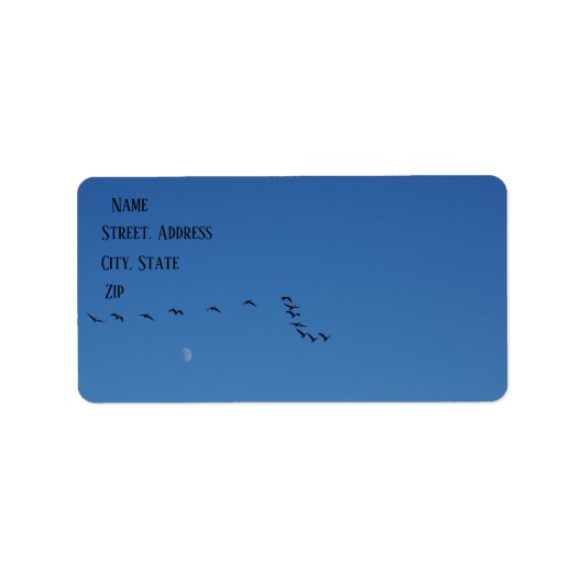 Kanadese ganzen in vlucht etiket (Voorkant)