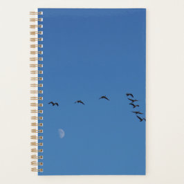 Kanadese ganzen in vlucht         planner