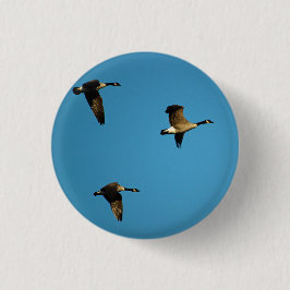 Kanadese ganzen in vlucht ronde button 3,2 cm