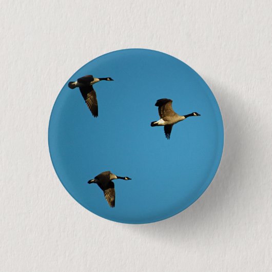 Kanadese ganzen in vlucht ronde button 3,2 cm (Voorkant)