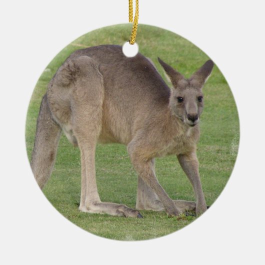 Kanagaroo Ornament (Voorkant)