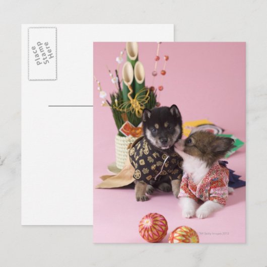 Kanagawa, Honshu, Japan Briefkaart (Voorkant / Achterkant)