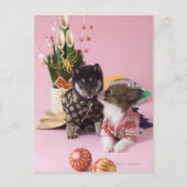 Kanagawa, Honshu, Japan Briefkaart (Voorkant)