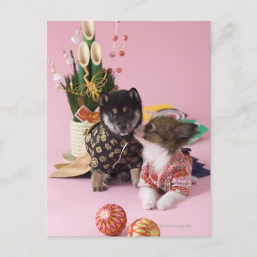 Kanagawa, Honshu, Japan Briefkaart (Voorkant)