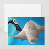 Kanaka Briefkaart (Voorkant / Achterkant)