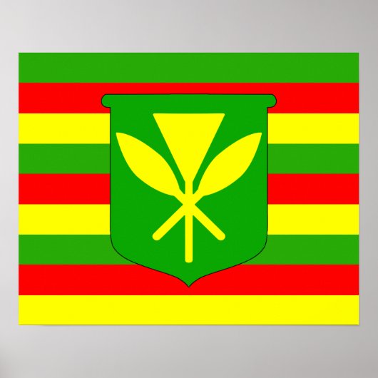 Kanaka Maoli Flag Poster (Voorkant)