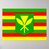 Kanaka Maoli Flag Poster (Voorkant)