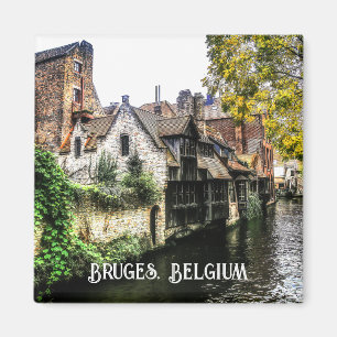 Kanalen Brugge Magneet