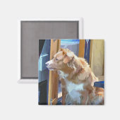 KANALEN MAGNEET (Voorkant / Achterkant)