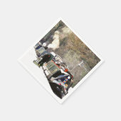 KANALEN SERVETTEN (Hoek)