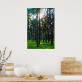 Kanaliserend bos poster (Keuken)