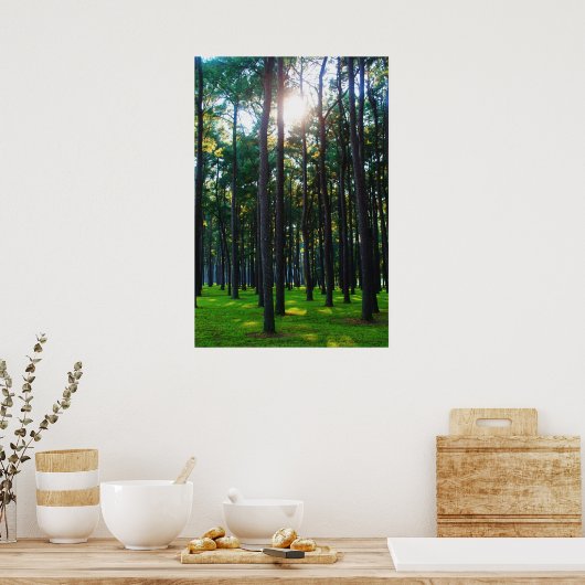 Kanaliserend bos poster (Keuken)