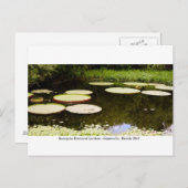 Kanapaha Gardens - Gainesville 001 Briefkaart (Voorkant / Achterkant)