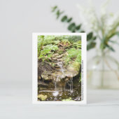 Kanapaha Gardens - Gainesville 002 Briefkaart (Staand voorkant)