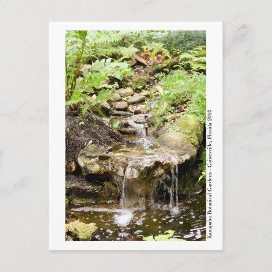 Kanapaha Gardens - Gainesville 002 Briefkaart (Voorkant)