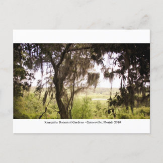 Kanapaha Gardens - Gainesville 009 Briefkaart