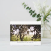 Kanapaha Gardens - Gainesville 009 Briefkaart (Staand voorkant)