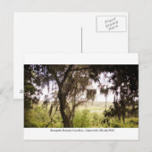 Kanapaha Gardens - Gainesville 009 Briefkaart (Voorkant / Achterkant)