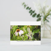 Kanapaha Gardens - Gainesville 013 Briefkaart (Staand voorkant)