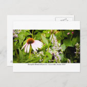 Kanapaha Gardens - Gainesville 013 Briefkaart (Voorkant / Achterkant)